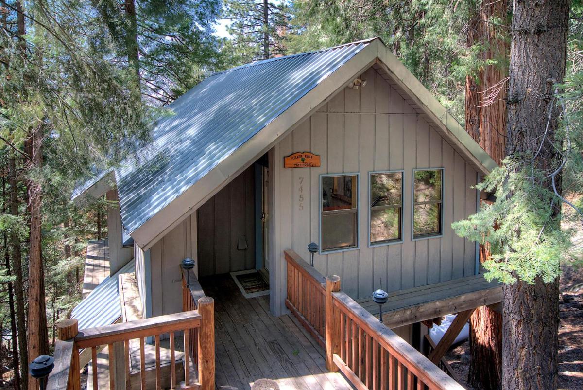 Tree House Lodge - main image