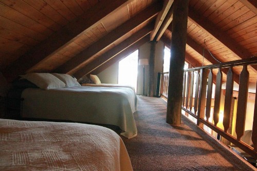 Tree House Lodge - image 11