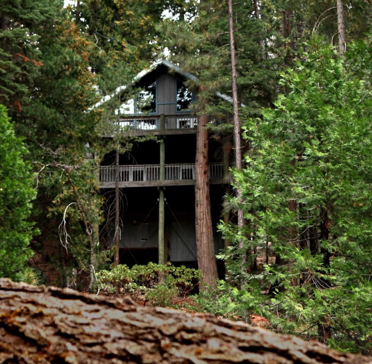Tree House Lodge - image 2