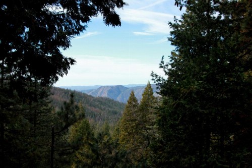 Tree House Lodge - image 23
