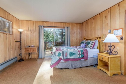 Hutchings Cabin & Apartment - image 14