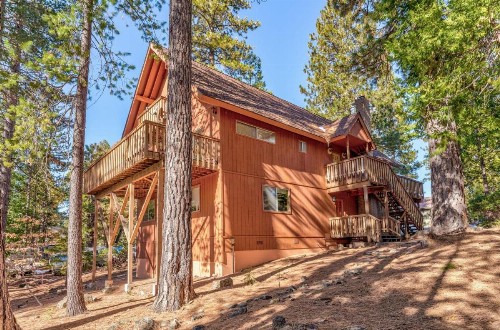 Hutchings Cabin & Apartment - image 4