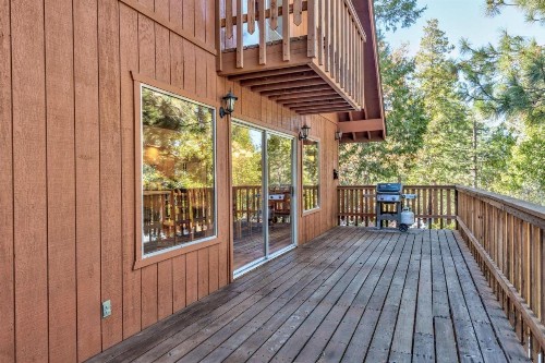 Hutchings Cabin & Apartment - image 8