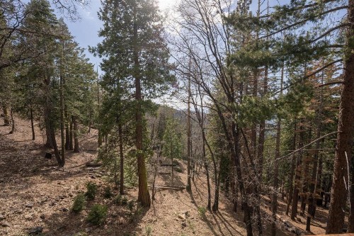 Falcons Nest (Upstairs) - 3BR/3BA Home - image 28