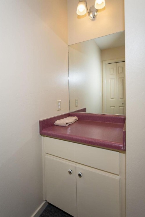Falcons Nest (Downstairs) - 3BR/3BA Home - image 21