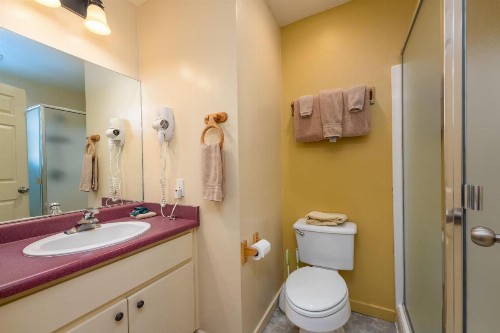 Falcons Nest (Downstairs) - 3BR/3BA Home - image 25