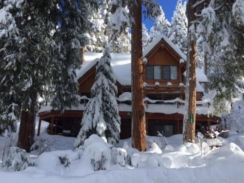 Tioga Logs - image 11