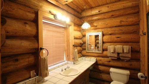 Tioga Logs - image 13