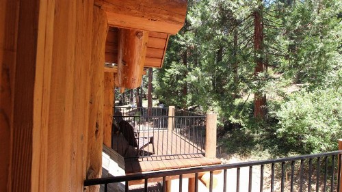 Tioga Logs - image 5