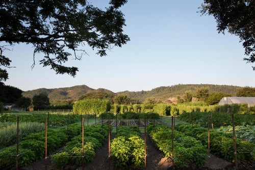 Napa Valley Lodge - image 32