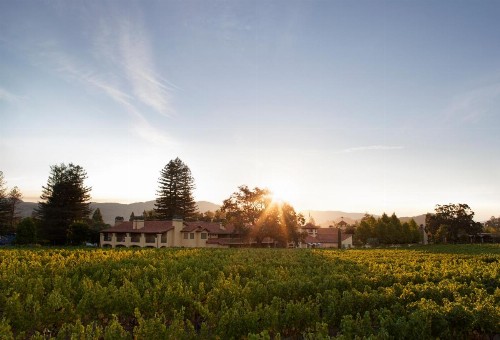 Napa Valley Lodge - image 4