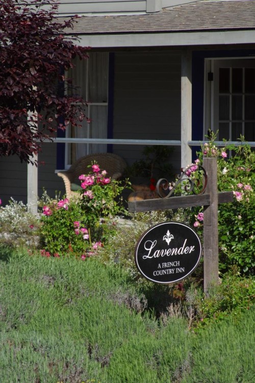 Lavender A Four Sisters Inn - image 23