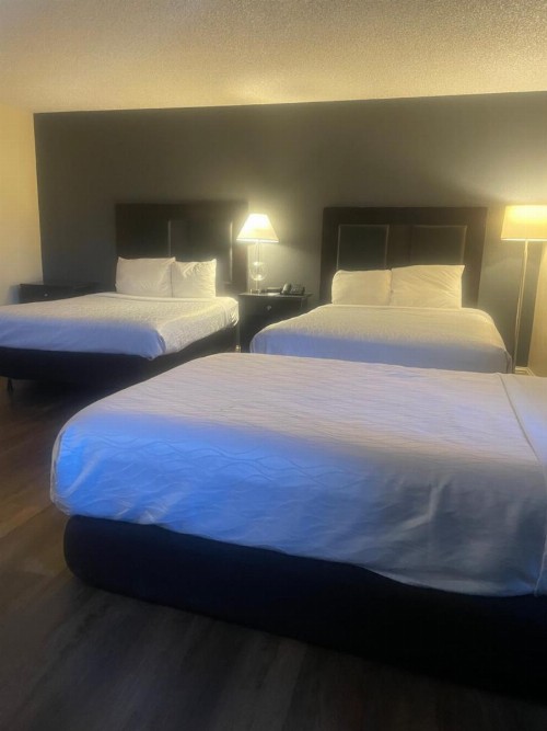 Econo Lodge Inn & Suites Yuba City - image 2