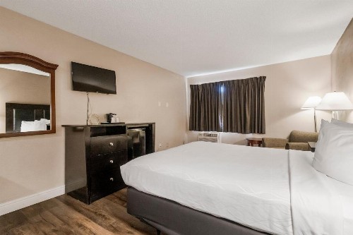 Econo Lodge Inn & Suites Yuba City - image 29