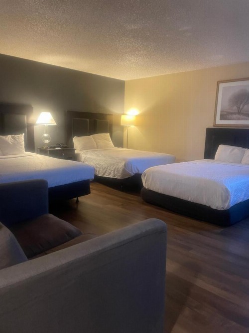 Econo Lodge Inn & Suites Yuba City - image 7