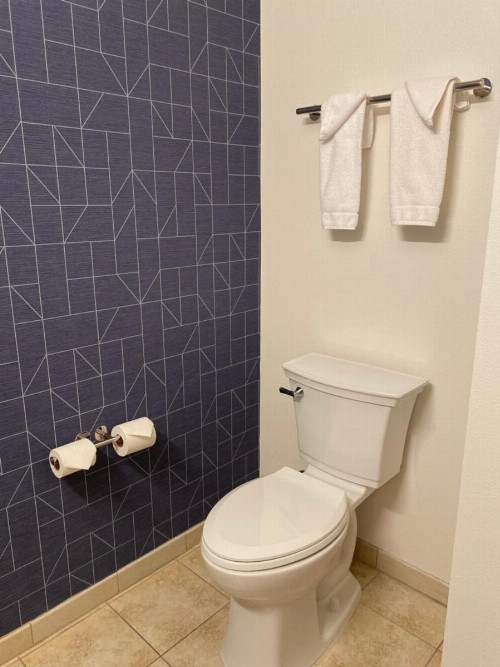 Best Western Joshua Tree Hotel & Suites - image 29
