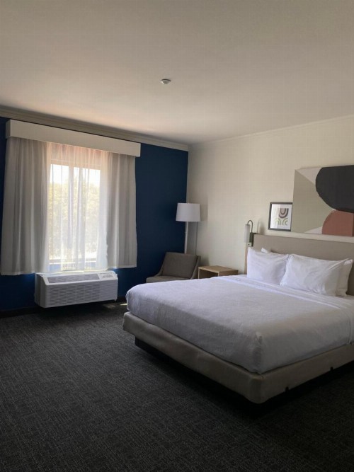 Best Western Joshua Tree Hotel & Suites - image 7