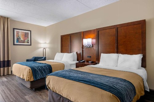 Comfort Inn Yulee - Fernandina Beach - image 11