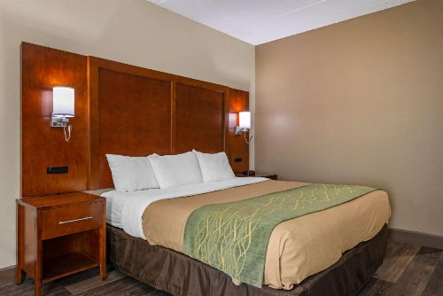 Comfort Inn Yulee - Fernandina Beach - image 31