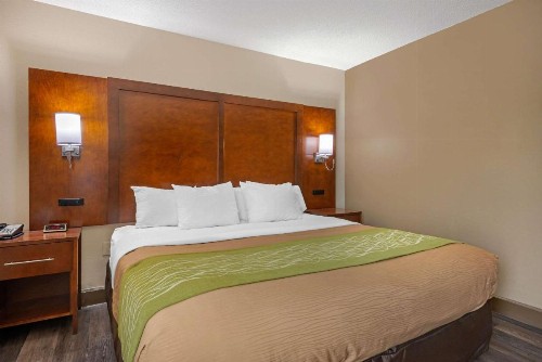 Comfort Inn Yulee - Fernandina Beach - image 46