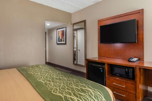 Comfort Inn Yulee - Fernandina Beach - image 49