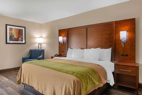 Comfort Inn Yulee - Fernandina Beach - image 5
