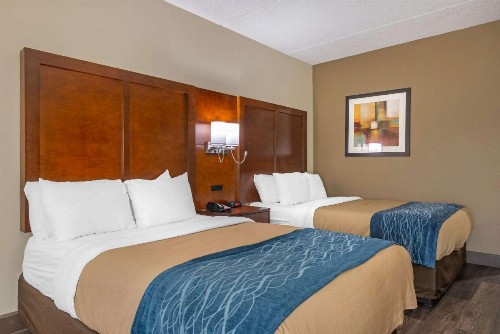 Comfort Inn Yulee - Fernandina Beach - image 9