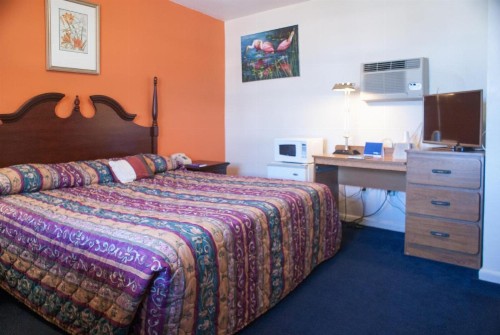Nassau Holiday Motel - image 4
