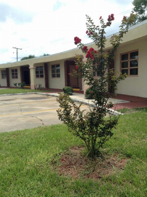 Nassau Holiday Motel - image 7