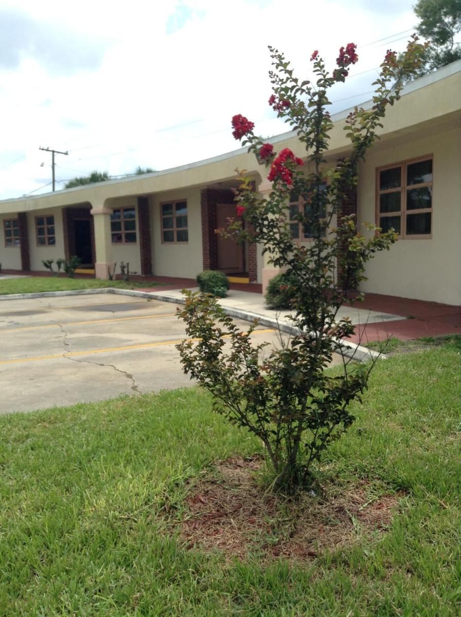 Nassau Holiday Motel - image 7