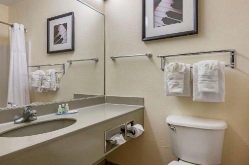 Quality Inn Zephyrhills-Dade City - image 27