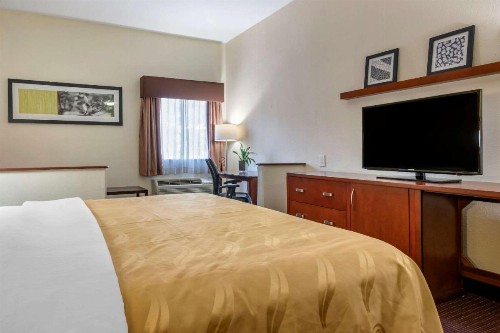 Quality Inn Zephyrhills-Dade City - image 30