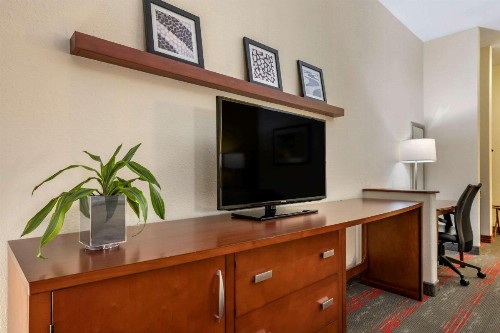 Quality Inn Zephyrhills-Dade City - image 5
