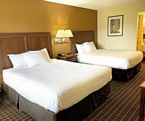 Roadstar Hotel Zephyrhills - image 16