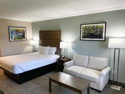 Roadstar Hotel Zephyrhills - image 25