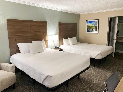 Roadstar Hotel Zephyrhills - image 37