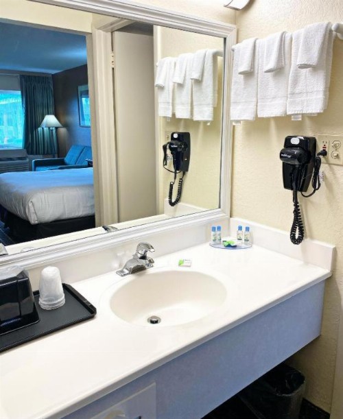 Roadstar Hotel Zephyrhills - image 42