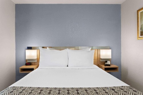 Microtel Inn and Suites - Zephyrhills - image 26