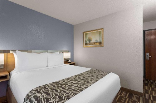 Microtel Inn and Suites - Zephyrhills - image 34