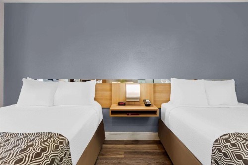 Microtel Inn and Suites - Zephyrhills - image 5
